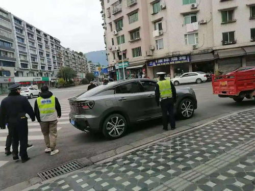 a) 行动建议概述