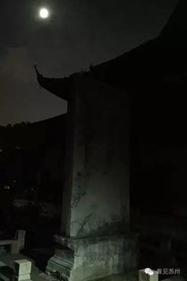研究背景与问题提出