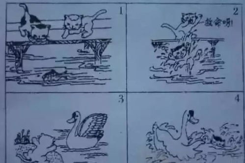 出门偶遇蛇，小花蛇爬行，此情此景吉凶如何判断？