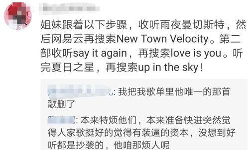 讨论：文化交叉影响下的网络命名逻辑