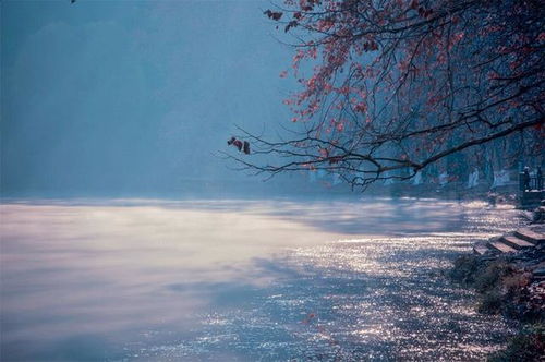 秋水是什么生肖年？秋风依依秋水寒代表什么生肖年份？