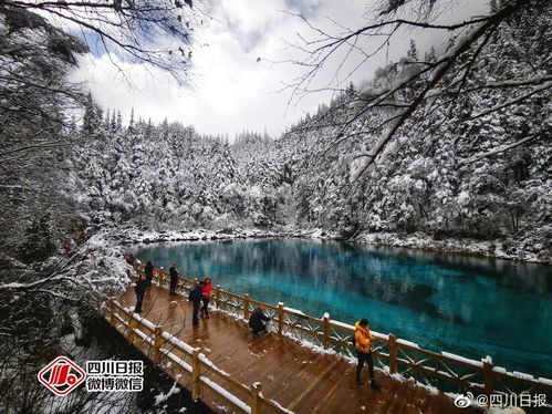 东线 vs 西线：骑行者的分歧