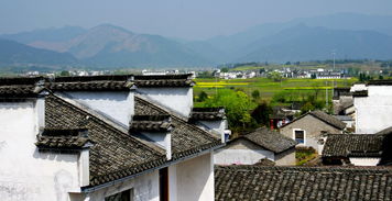 如何改善一家属鸡人的风水布局？