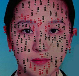 一、 医学层面的致因探讨