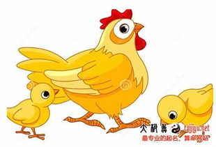 五、 奇葩组合测试室（彻底没有逻辑）