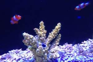 三、  所谓的“粉丝特惠”：双人票208块的诱惑