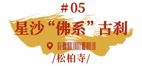 我的内心独白：真的要坐游轮吗？