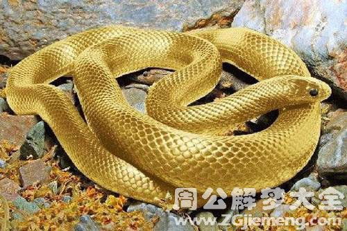 2．中年女性及已婚配偶