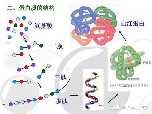 区议会组织结构变动及其政治领域意涵