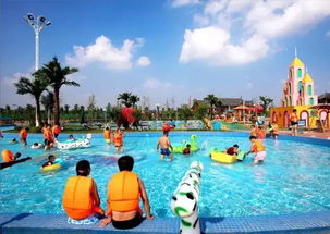 海浪谷湿身大作战：2026年黄道吉日泼水指南（附带星座运势玄学分析）