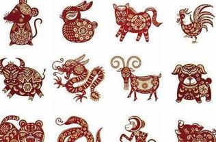 十二生肖中，哪一年是二生肖的婚姻缘最佳，婚姻缘最好的生肖女是哪个？