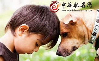 邓姓小孩起名大全里有哪些好名字可以参考？