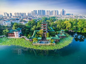 震惊！2026年去桂湖公园居然要这样玩？看完肠子都悔青了！