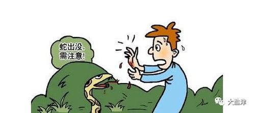 梦见蛇咬自己的手臂不放，这究竟是什么预兆？