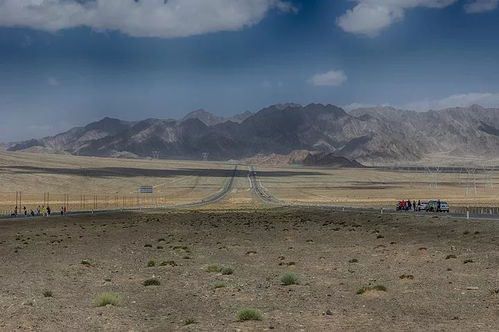 如何在火星生存