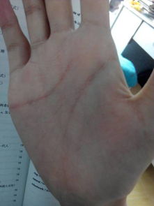 视频媒体对手相知识传播之影响