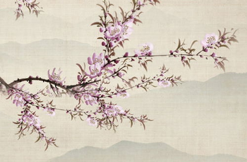 属马和属猴的合作关系在事业上是否和谐，嫩否成功协作？