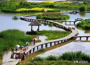 拍照打卡的任务