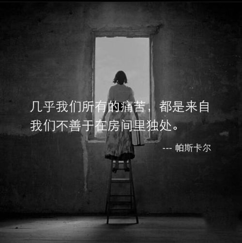 教育领域意义：实际价值观导向