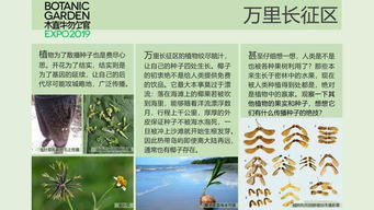 商业化浪潮下的“智商税”现象批判