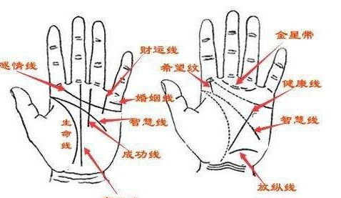 水星丘星形纹：意外机遇的双刃剑