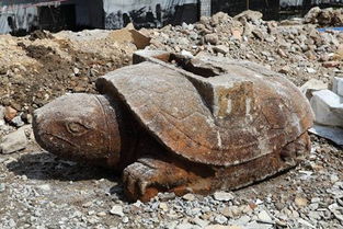 考古挖掘出土石龟会对当地风水产生怎样的影响？