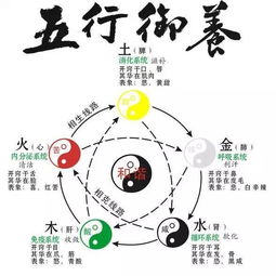 中医五行理论的详细解析