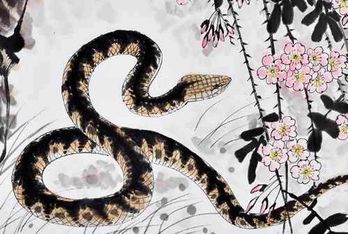 属鼠和属蛇的婚姻关系能长久维持吗？性格差异是否会影响他们的婚姻稳定？