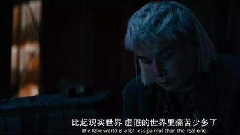 研究背景与理论框架