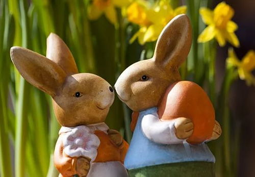 属兔的人遇到什么阻碍，叫兔小人是什么意思？