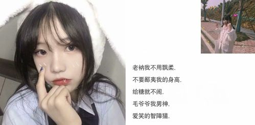 哲理性表达及其文化寓意