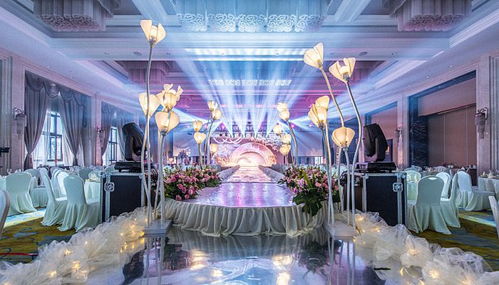 优质答主提供的部分信息汇总: