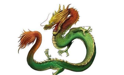 身体健康状况管理：身体资本与心灵修炼并沉重之道