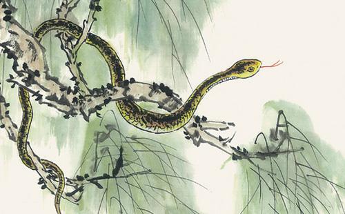 2026年出生属蛇的男性，最旺财运的男士饰物究竟是什么？