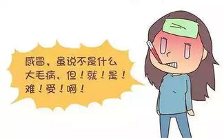 2.2 功能性食材较深度解析