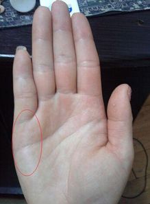 三、 跨文化底蕴视角下对负面预兆的再审视