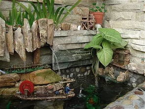 ：庭院养锦鲤于风水学之理论框架