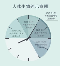 5. 作息规律与睡眠质量控制