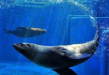 二、 价格大乱炖：谁才是真正的“价低者”？