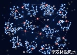 当代年轻人的婚恋迷惑行为大赏