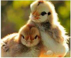 一、你以为我是谁？——惯与我的“专业”