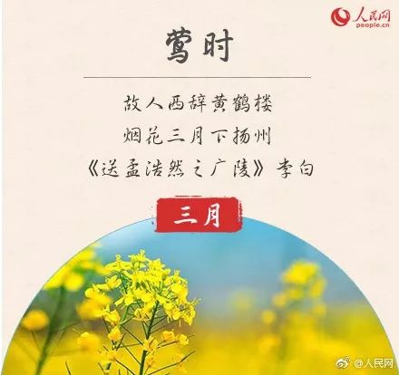 三、 “十二个月别称”的系统性整理与分类框架构建