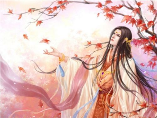 月华清影·独韵幽兰这样的名字，哪里能找到第二个呢？
