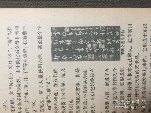 ：千年文化交融的时代命题