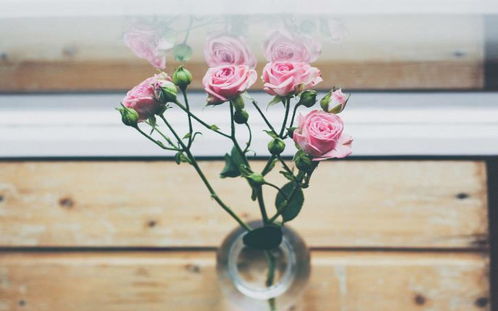 情感世界的忠诚与冲动