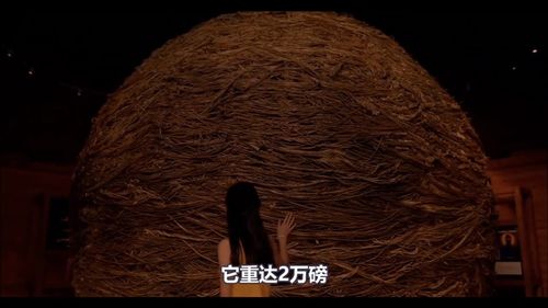 神秘人影的出现