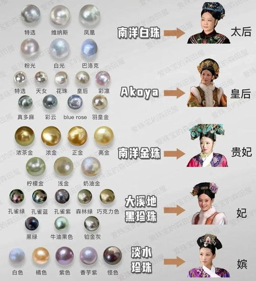 四、 实际操作提议（带一点点泼辣）