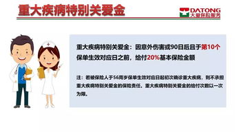 五、 个人体验——一次不靠谱却令人心动的旅程
