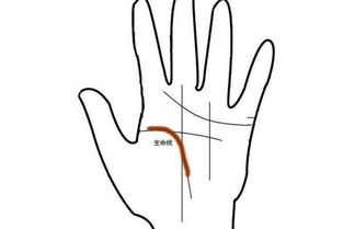 有哪些手相特征表明一个人命运短暂，却拥有十种很厉害的运势？