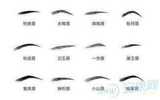 眉形图谱的性格编码